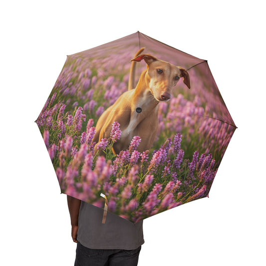 Cirneco dell’Etna Semi-Automatic Foldable Umbrella
