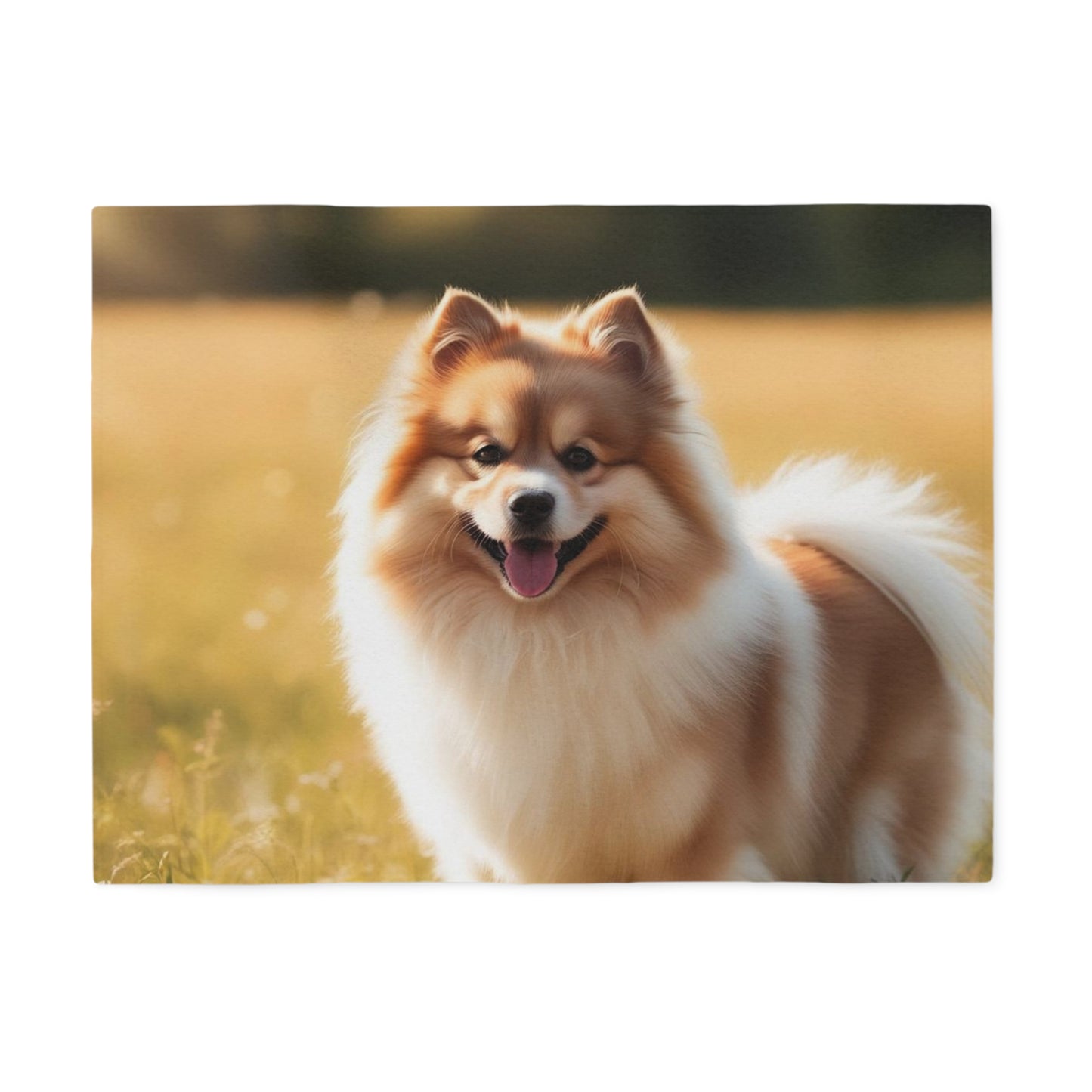 Couverture en sweat-shirt Keeshond
