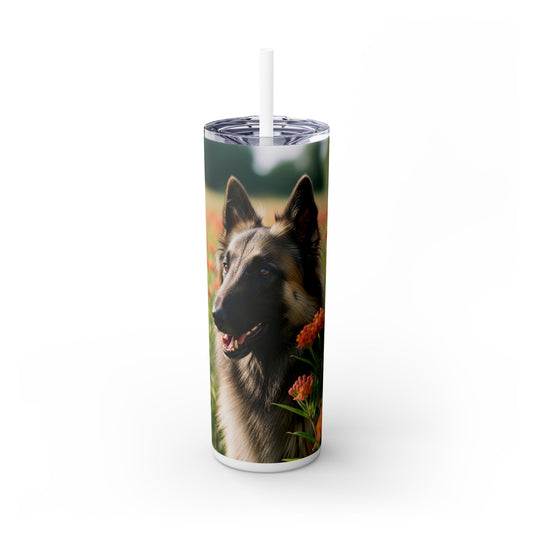 Belgian Tervuren Tumbler with Straw, 20oz