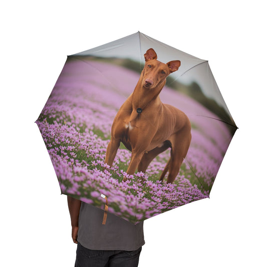 Pharaoh Hound Semi-Automatic Foldable Umbrella