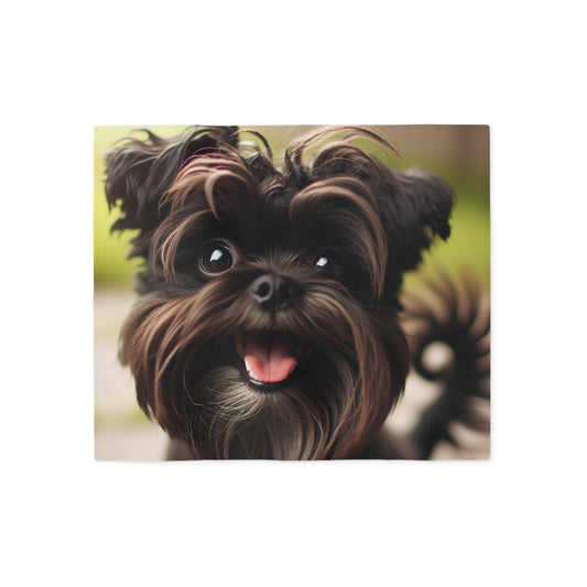 Affenpinscher Sweatshirt Blanket