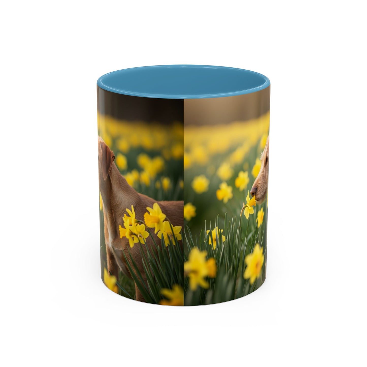 Mug à café avec motif Podengo Pequeno portugais - Cadeau idéal pour les amoureux des chiens