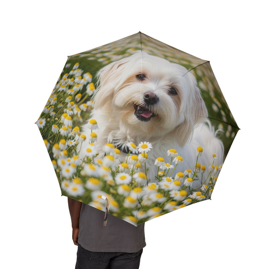 Havamalt Semi-Automatic Foldable Umbrella