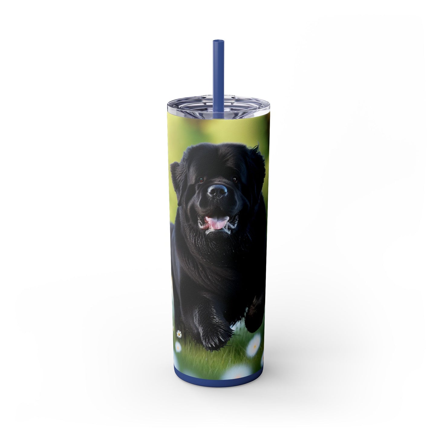 Newfoundland Skinny Tumbler with Straw, 20oz