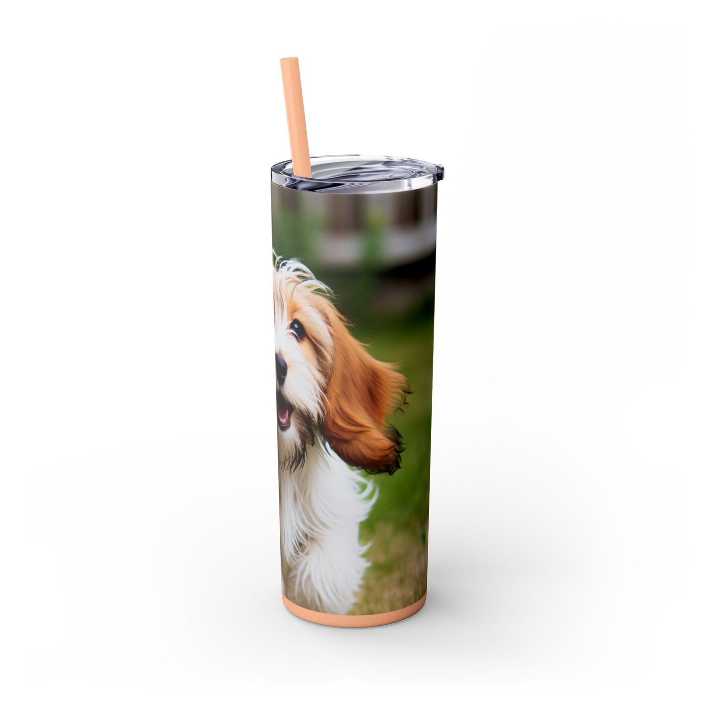 Petit Basset Griffon Vendeen Skinny Tumbler with Straw, 20oz