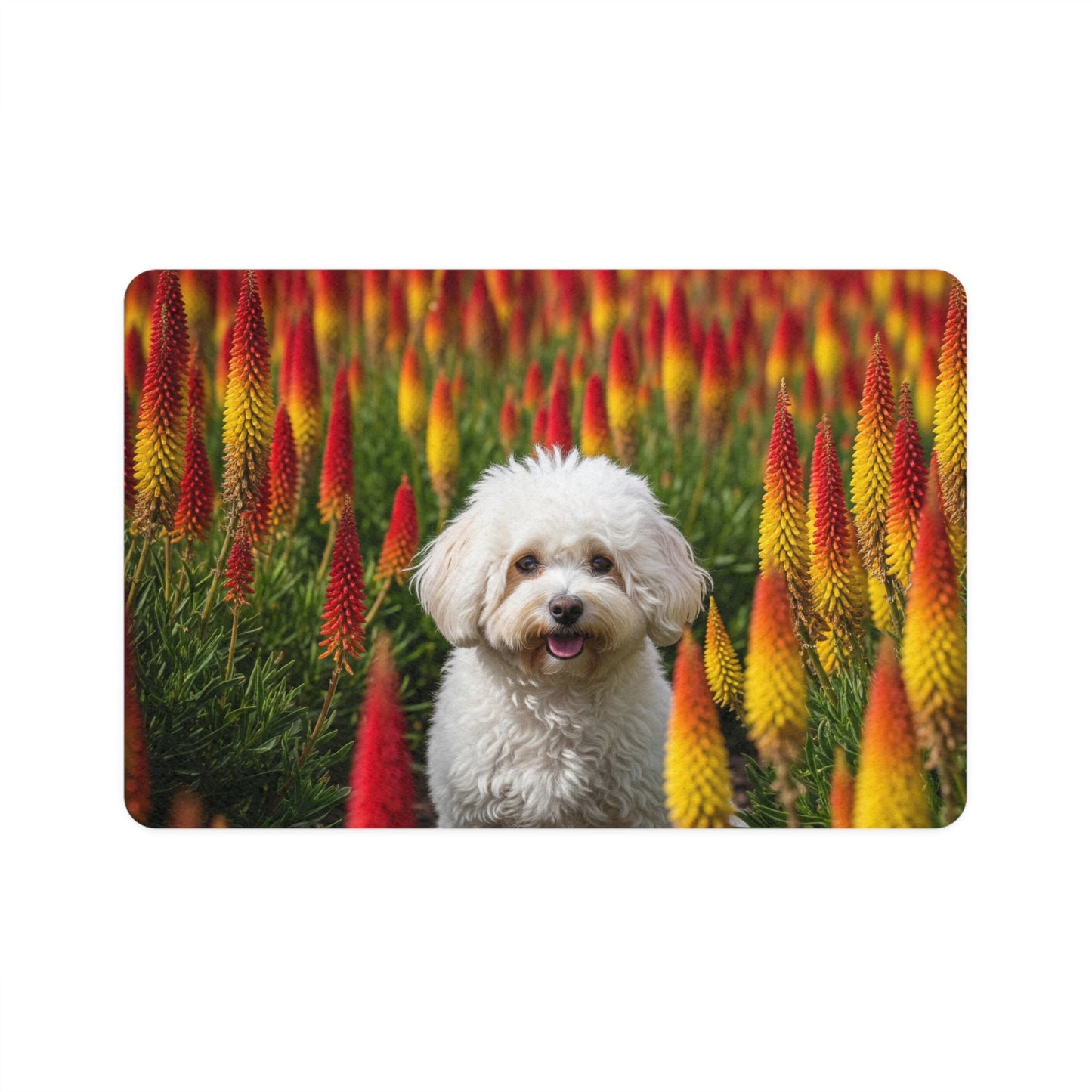 Pet Food Mat (12x18) - Bichonpoo