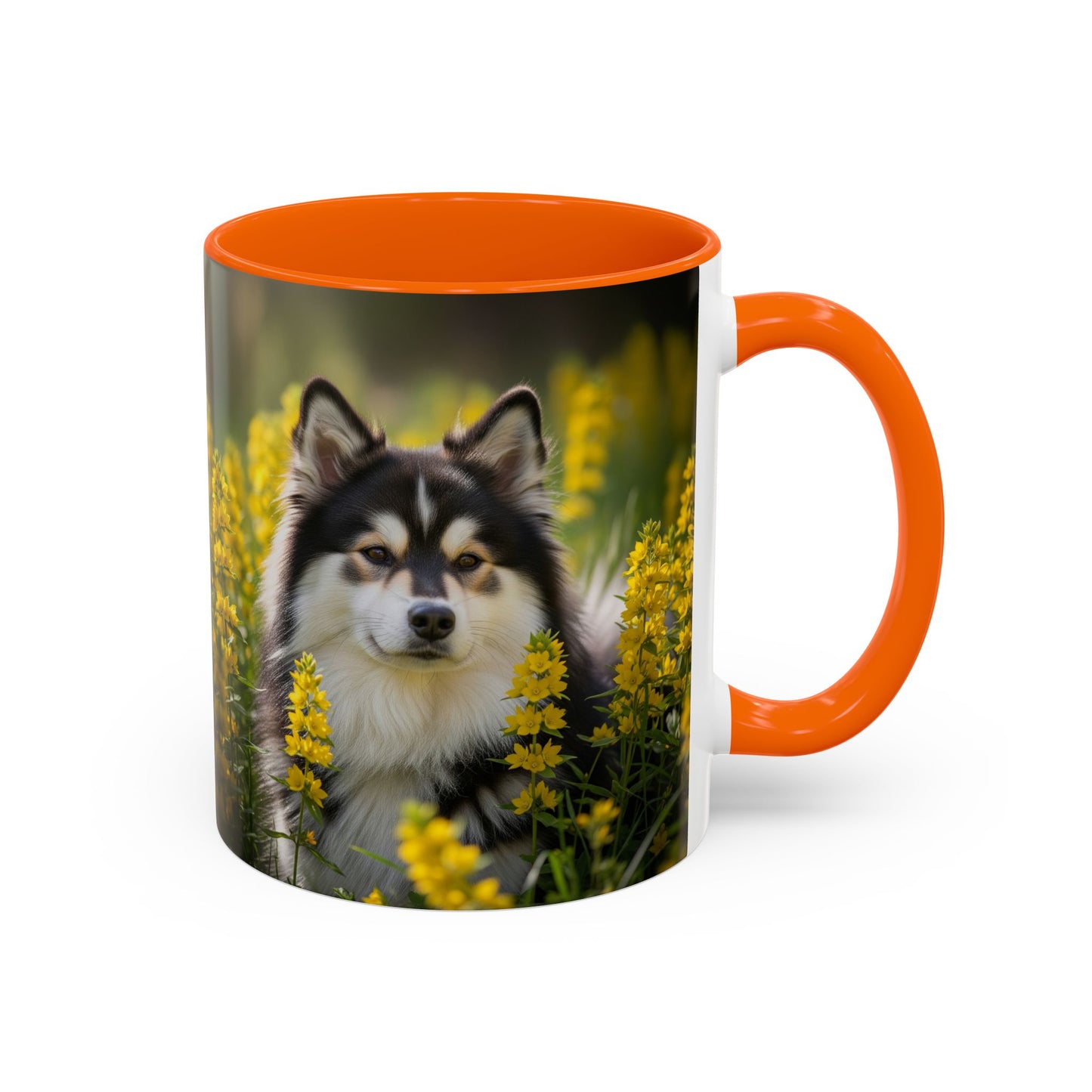 Taza con diseño de perro lapón sueco: el regalo perfecto para los amantes de los perros.