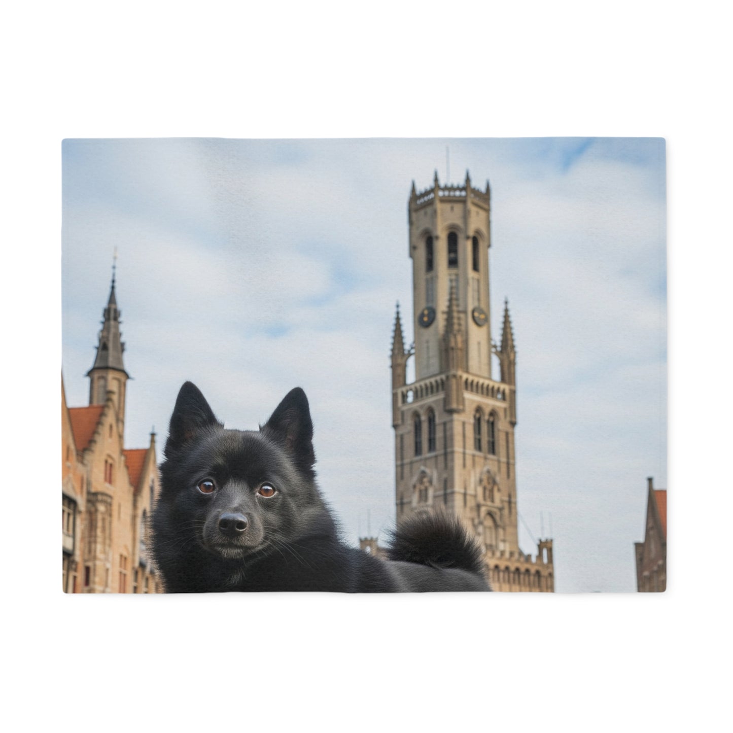 Schipperke Blanket
