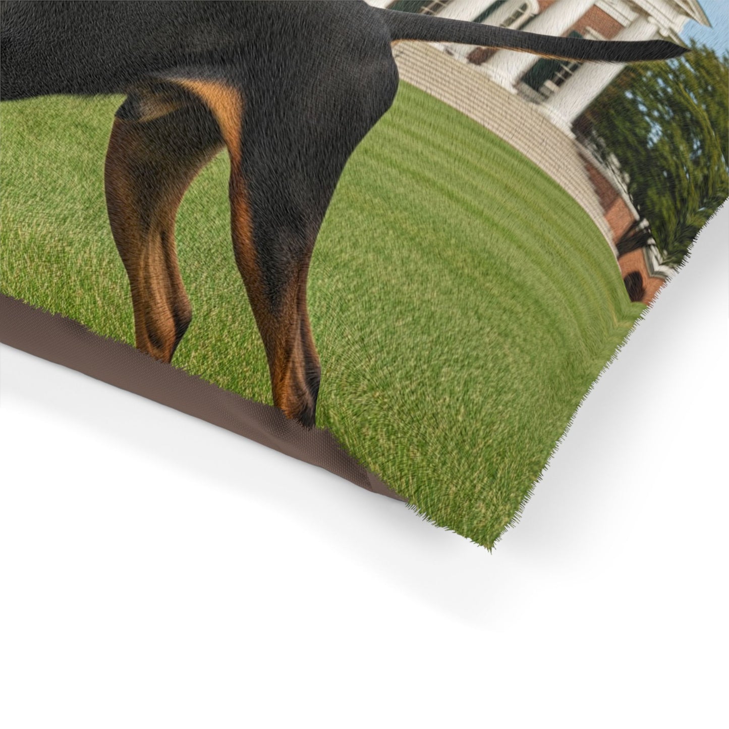 Black and Tan Coonhound Pet Bed