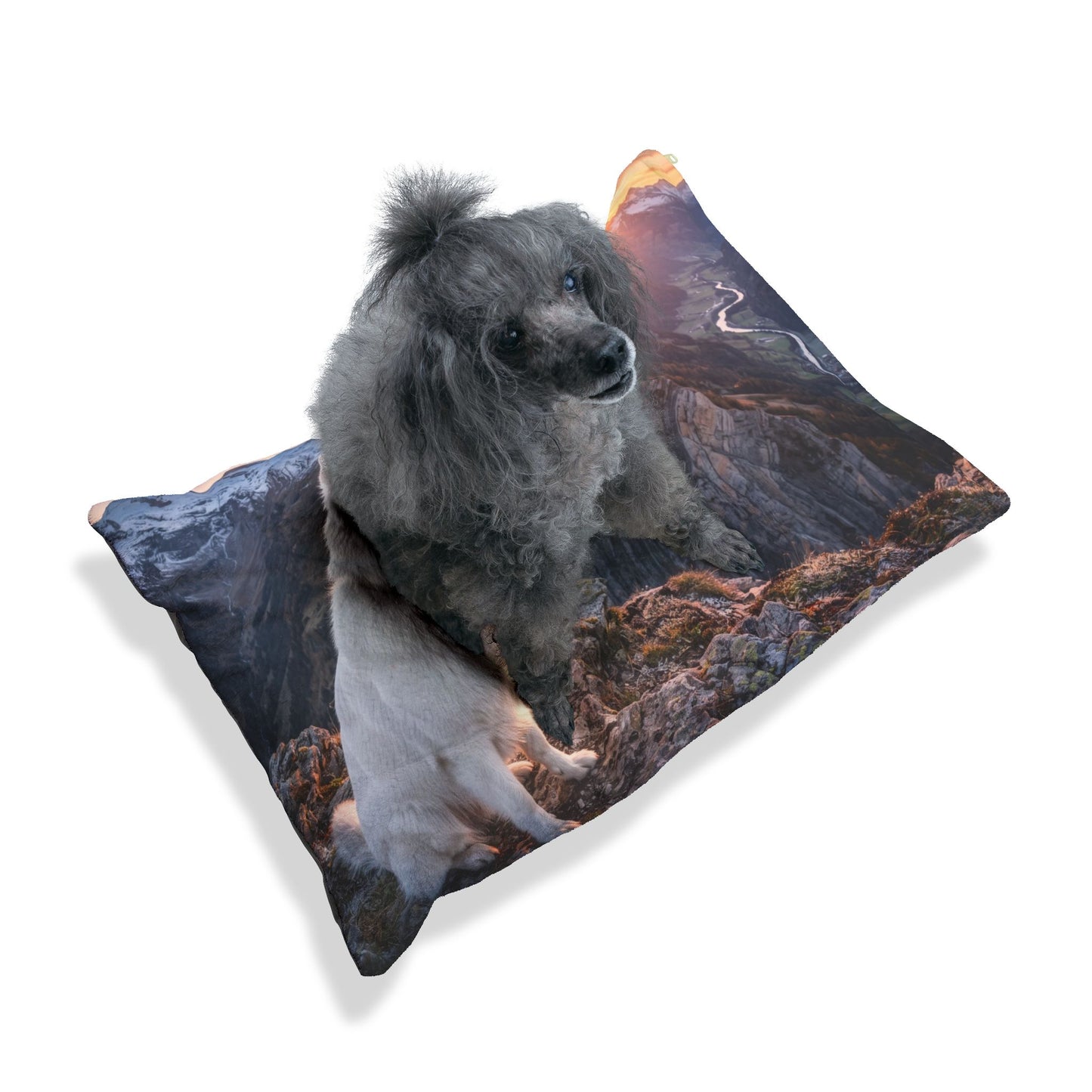 White Swiss Shepherd Dog Pet Bed