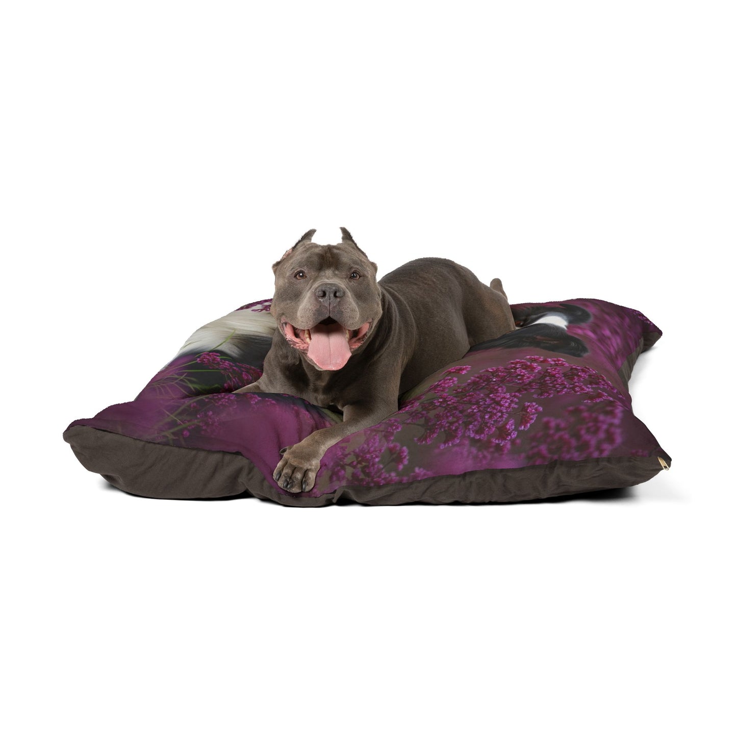 Border Collie Pet Bed