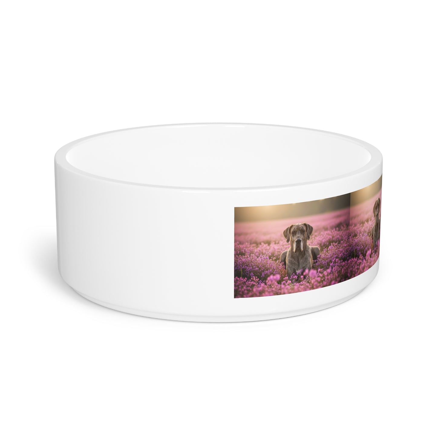 Great Dane Pet Bowl