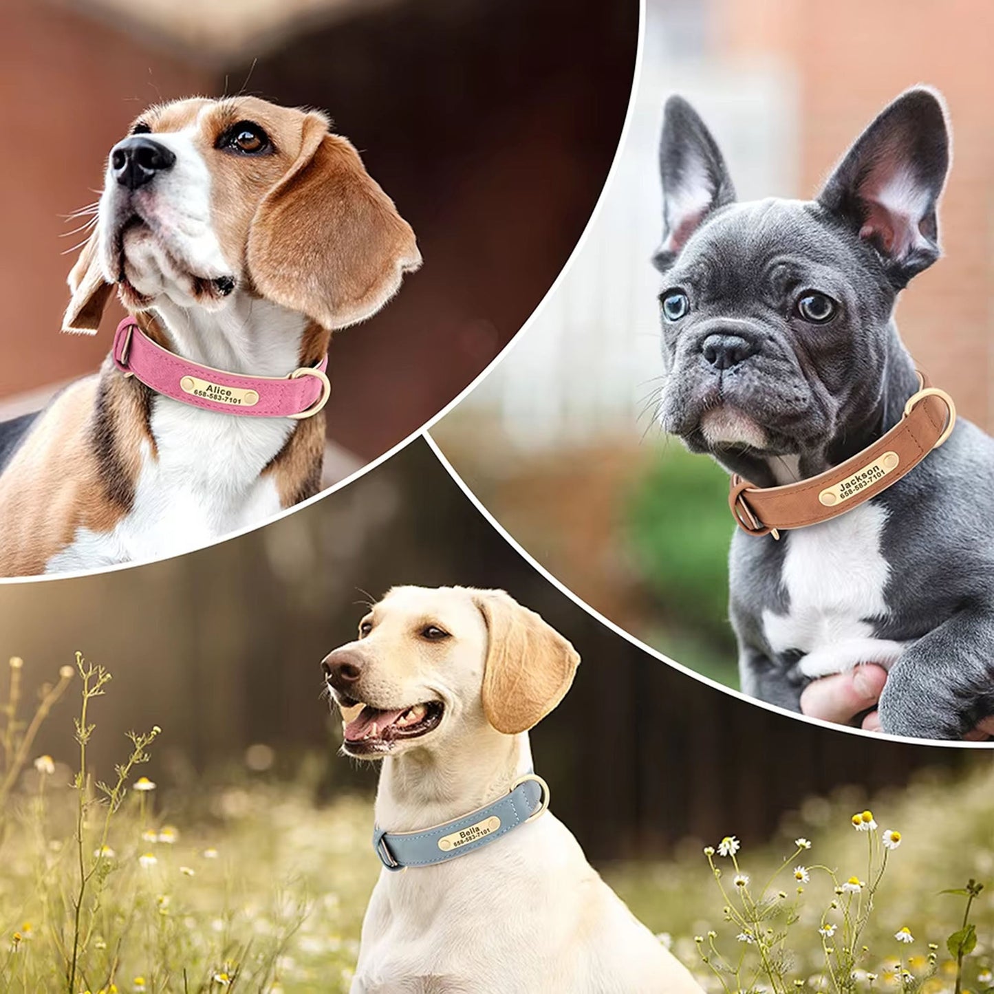 Collar de perro personalizado, de cuero sintético con grabado personalizado, con placa de identificación con grabado gratuito para perros pequeños, medianos y grandes - C1502