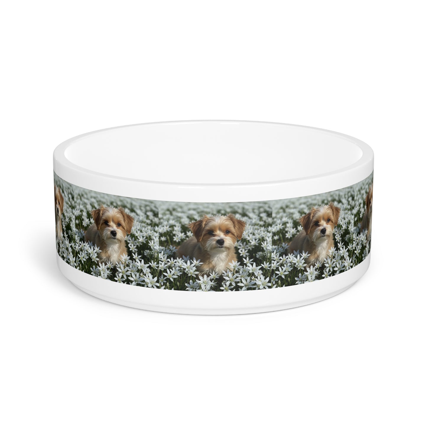 Ceramic Pet Bowl – 16 oz Dog Feeding Bowl