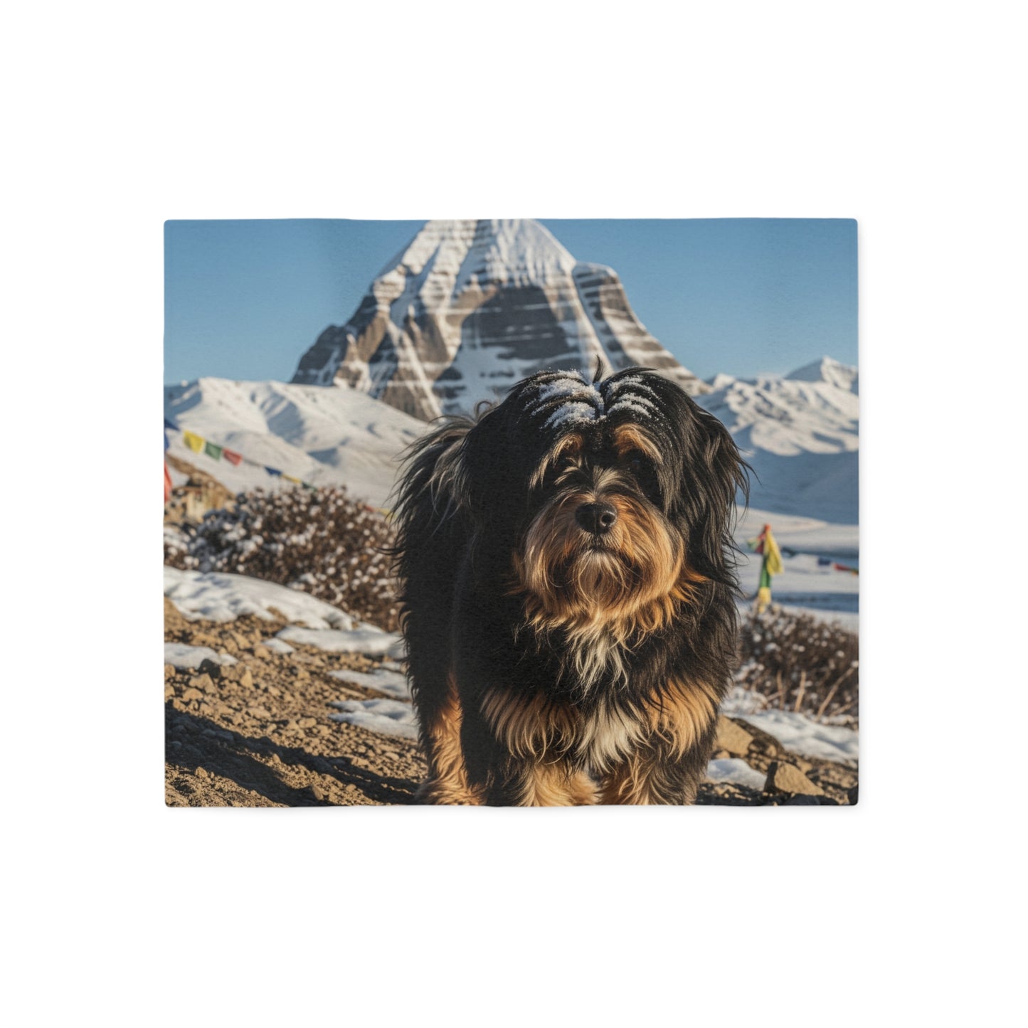 Tibetan Kyi Apso Blanket