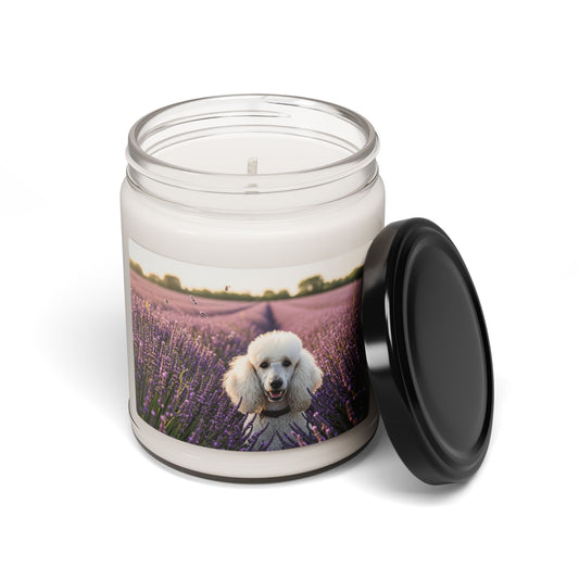Poodle- Scented Soy Candle, 9oz