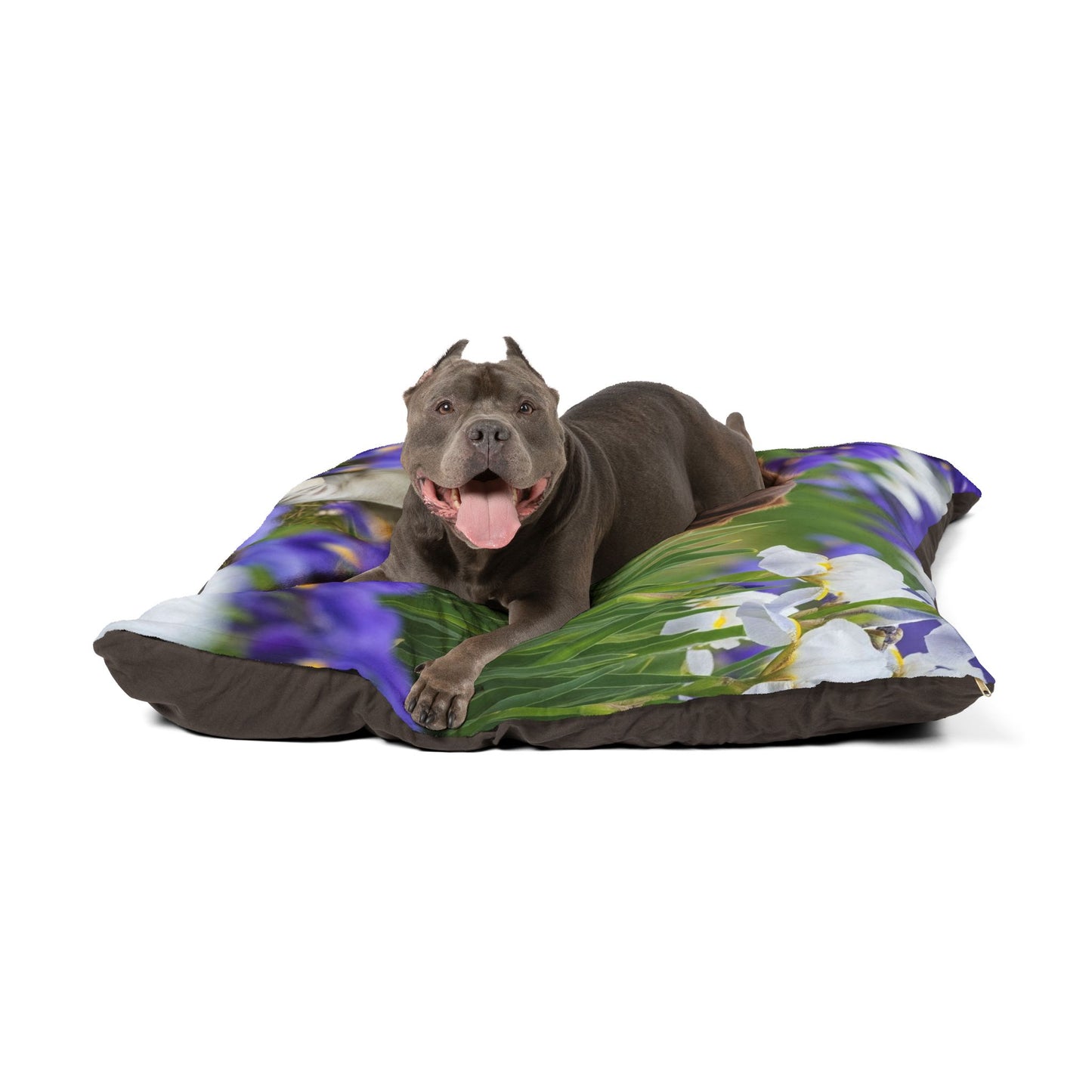 Lit pour animaux Stabyhouns