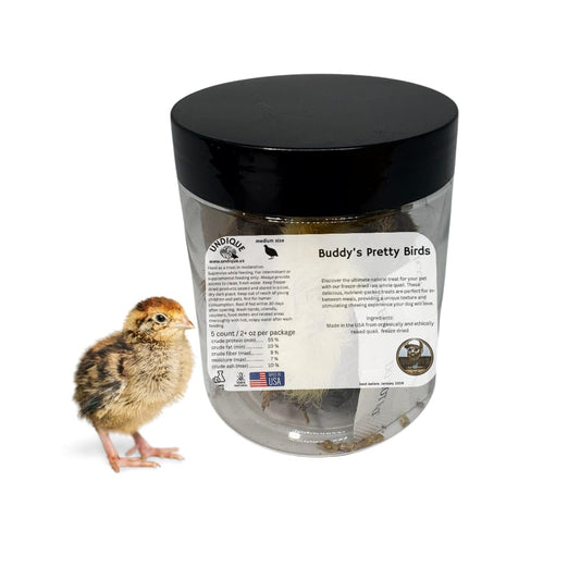 Poussins de caille entiers pour animaux carnivores - Alimentation naturelle à base de proies - Source de protéines de qualité - Poussins de taille moyenne (5 unités)