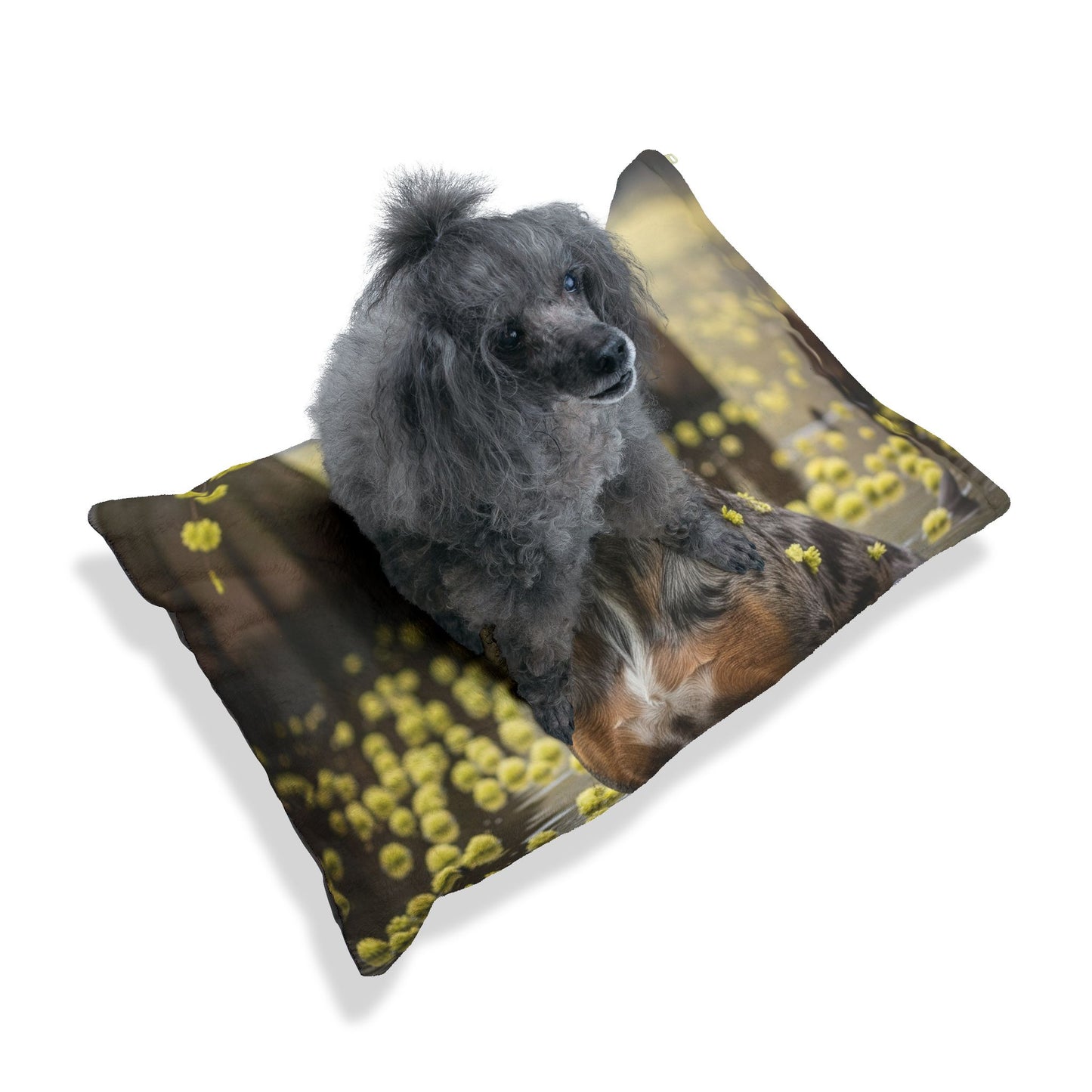 Cama para mascotas Catahoula Leopard