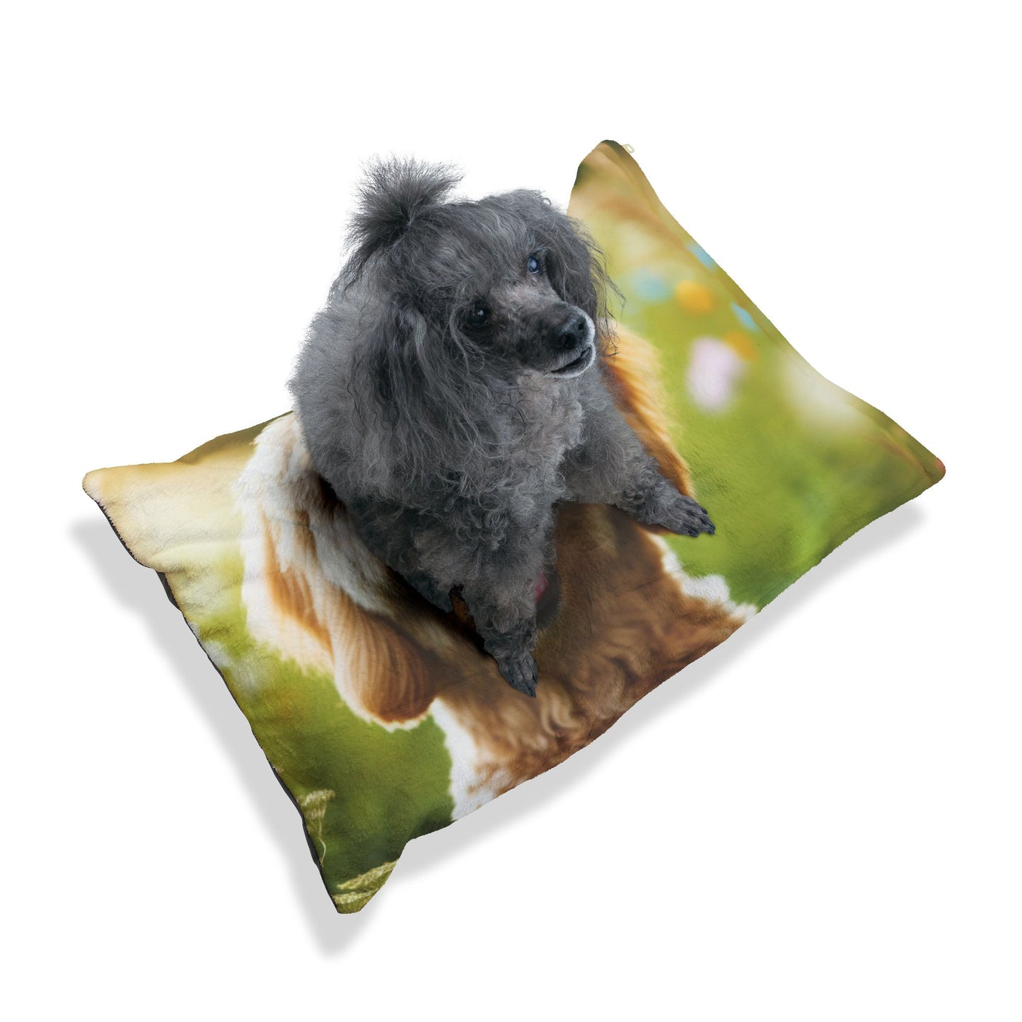 Labradoodle Pet Bed