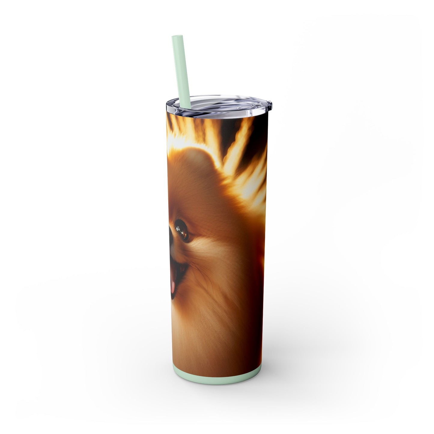 Pomeranian Skinny Tumbler with Straw, 20oz