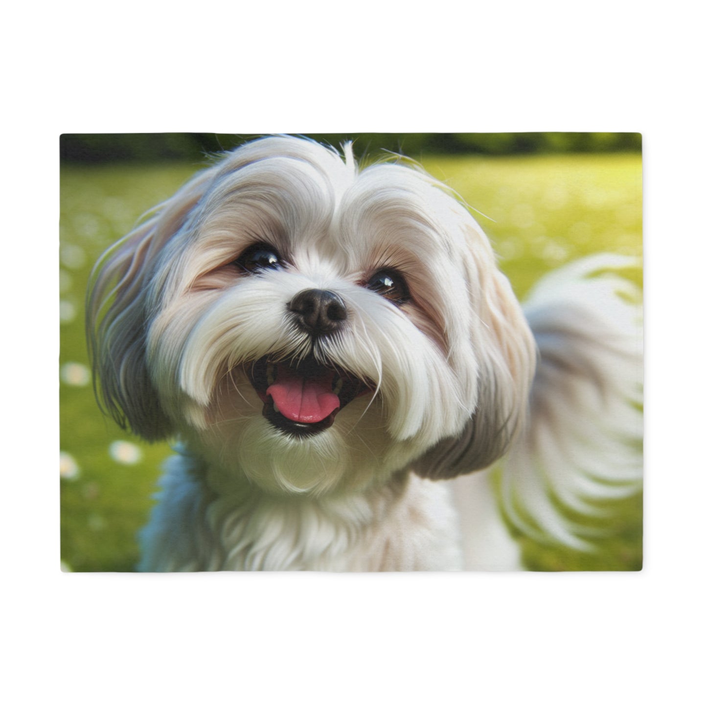 Couverture en sweat-shirt Shihmalt