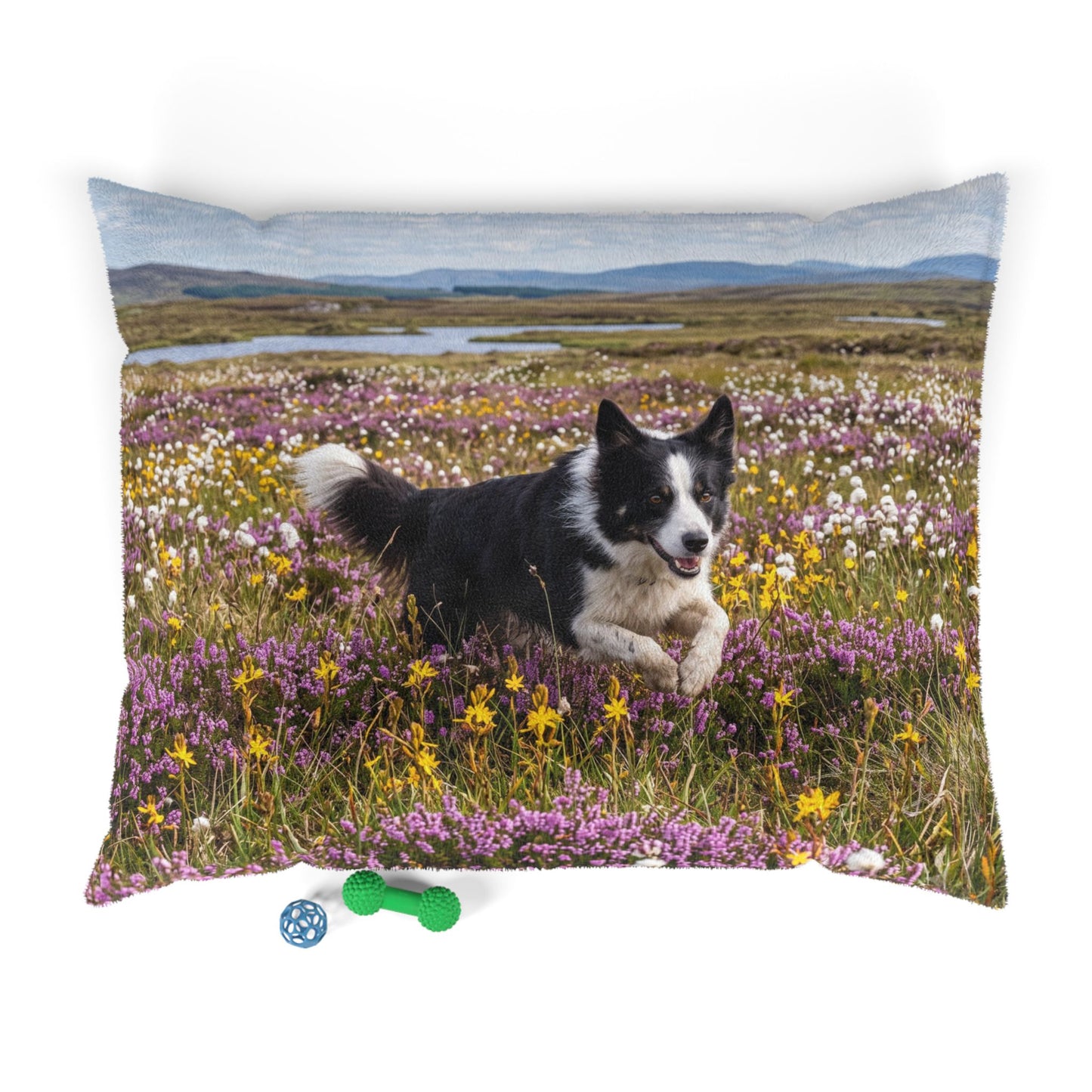 Border Collie Pet Bed
