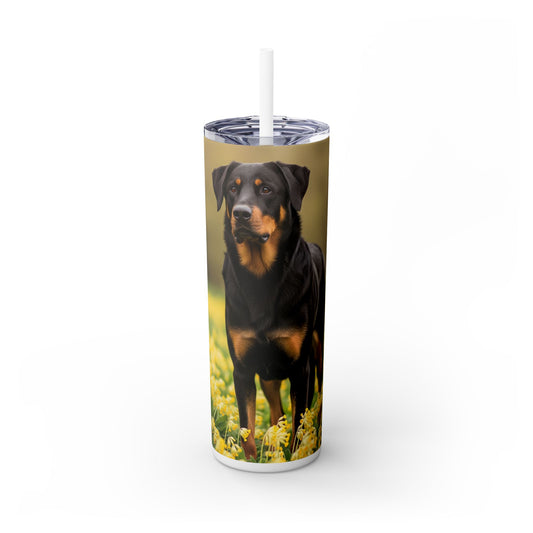 Beauceron Tumbler with Straw, 20oz