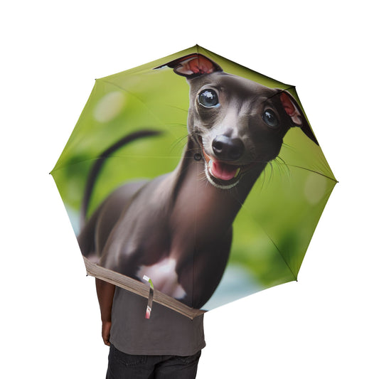 Italian Greyhound Semi-Automatic Foldable Umbrella