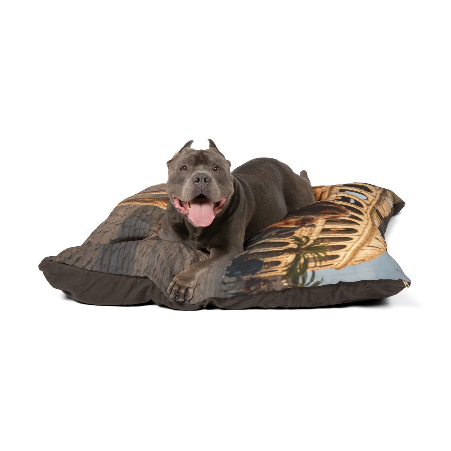 Pet Bed