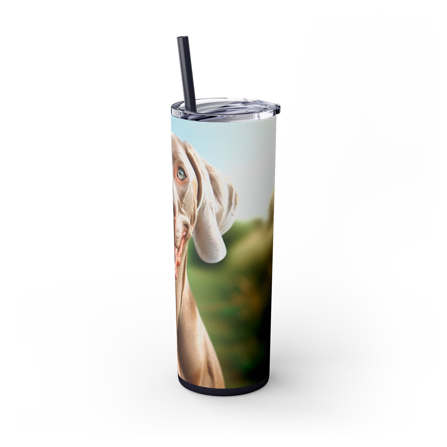 Weimaraner Skinny Tumbler with Straw, 20oz