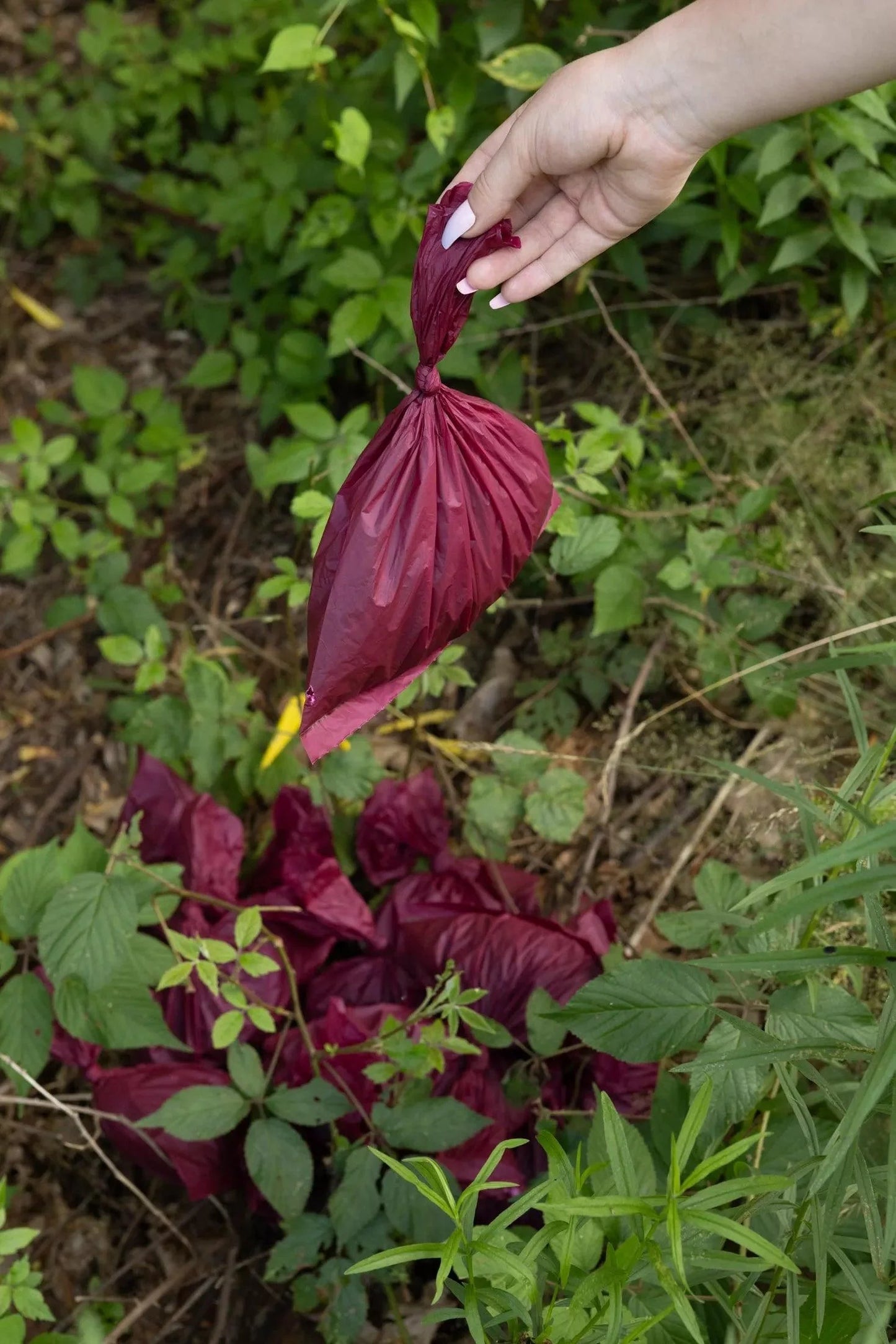 Plant Based Compostable Waste Bags