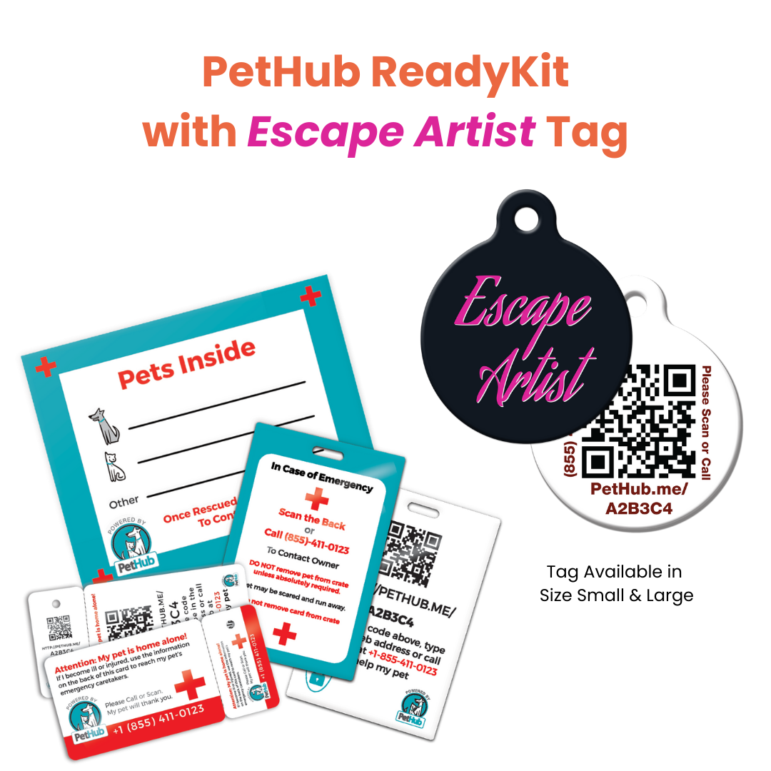 Kit completo de identificación de mascotas QR de PetHub: kit de emergencia completo