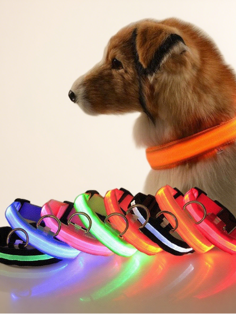 Collier lumineux LED pour animaux de compagnie Milou &amp; Lumi - Jaune