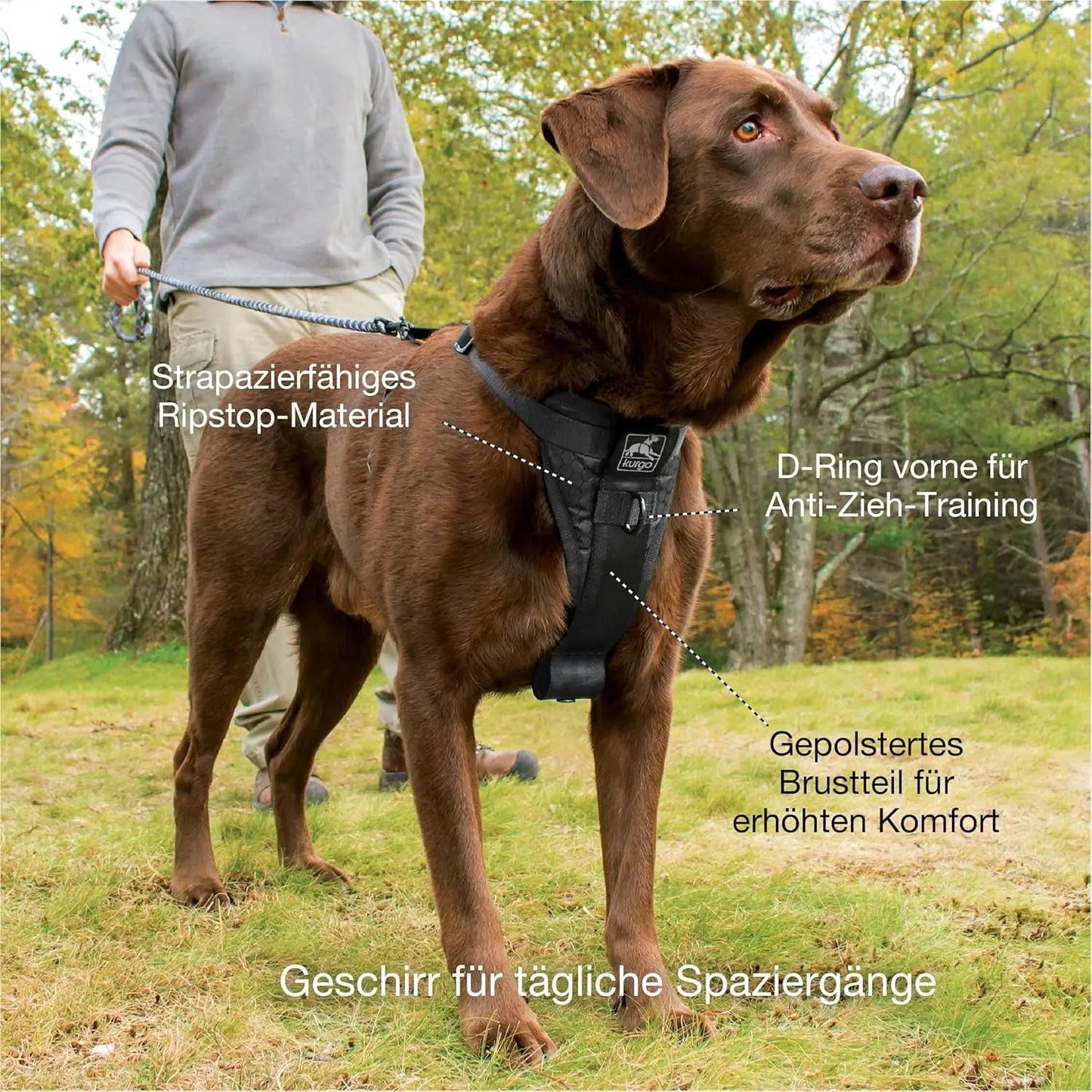 Harnais de promenade intelligent Tru-Fit pour chien - Confortable et ajustable - Éléments réfléchissants - Sangle à dégagement rapide - Accessoire idéal pour les promenades quotidiennes - Boucle de ceinture de sécurité incluse - Noir - Taille moyenne
