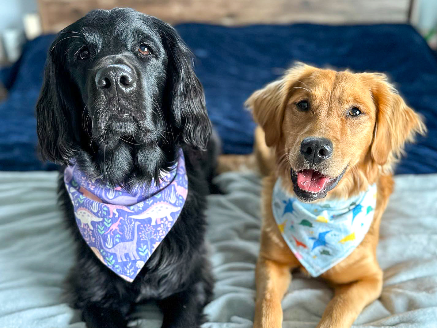 "Best Dog" Wedding Dog Bandana