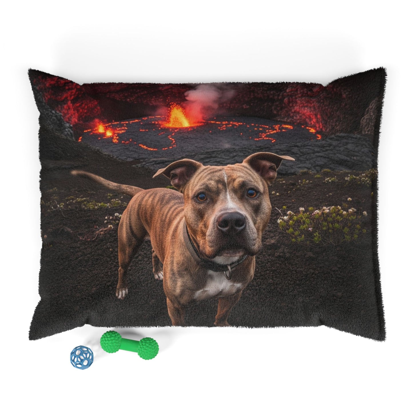 Pit Bull Pet Bed