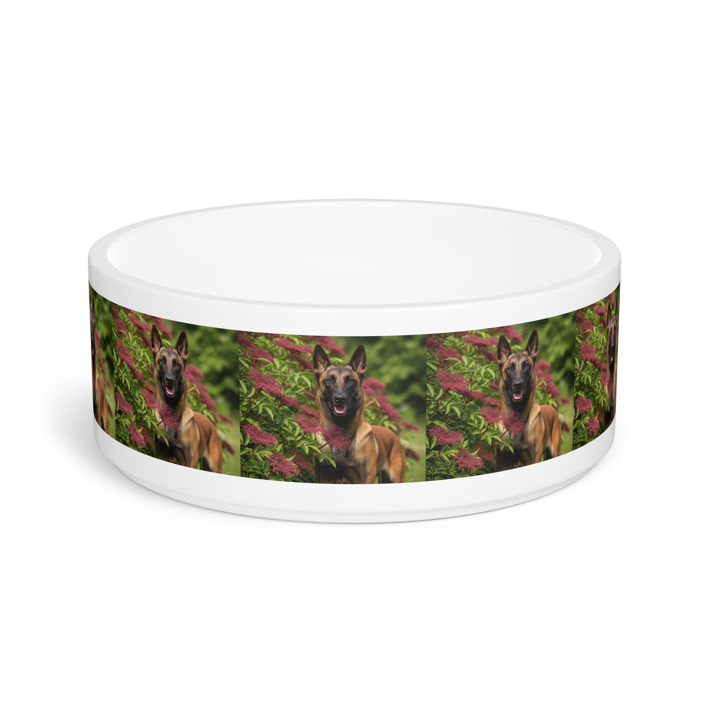 Belgian Shepherd Dog Malinois Pet Bowl