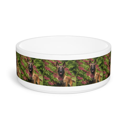 Belgian Shepherd Dog Malinois Pet Bowl
