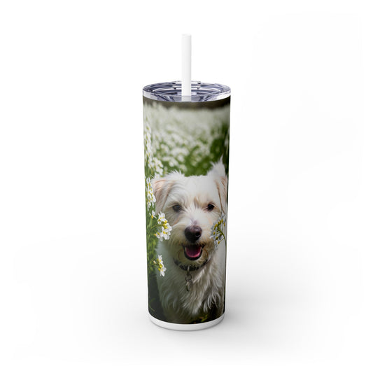 Kromfohrlander Tumbler with Straw, 20oz