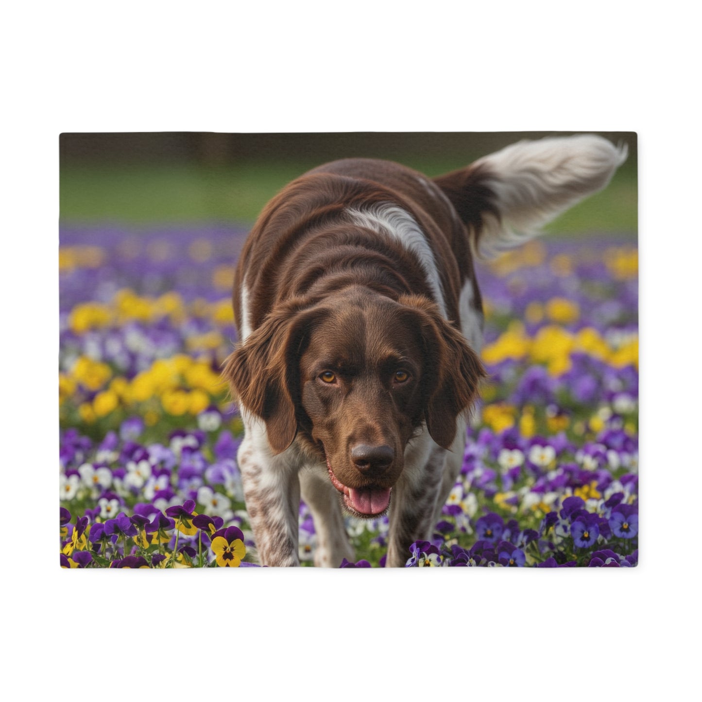 Sweatshirt Blanket – Plush Fleece Throw, 2 Size Options