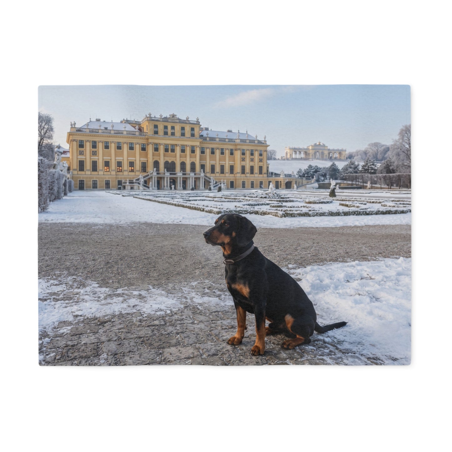 Austrian Black and Tan Hound Blanket