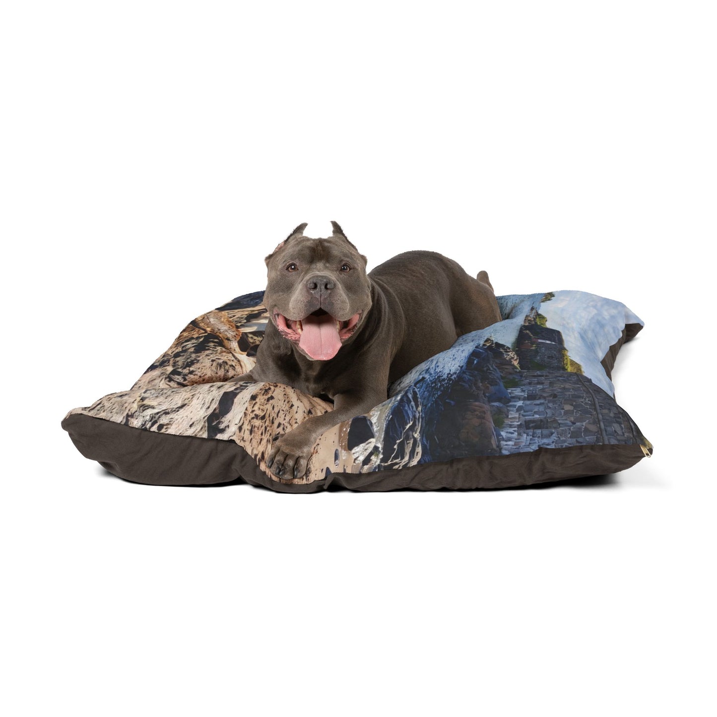 Karelian Bear Dog Pet Bed