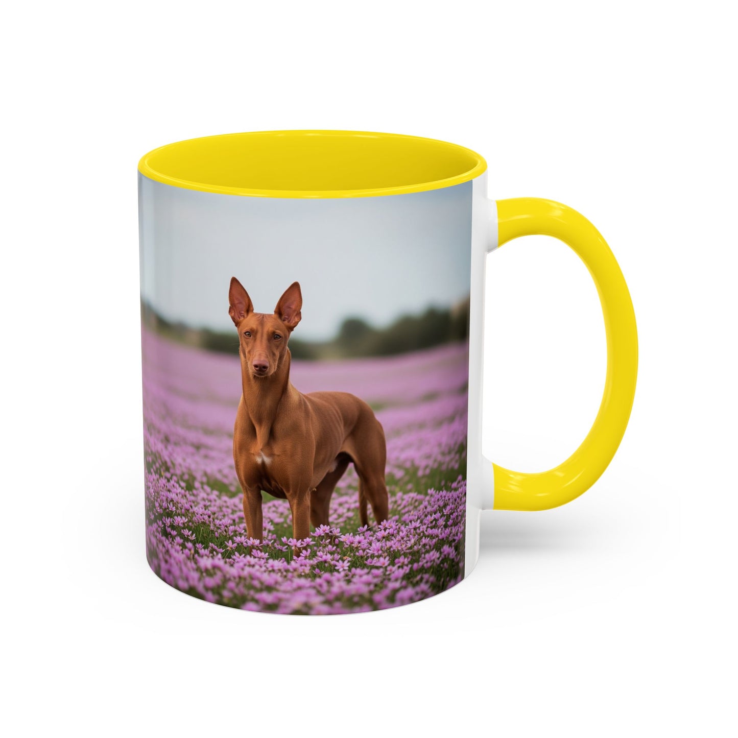 Taza de café con diseño de Pharaoh Hound: el regalo perfecto para los amantes de los perros.