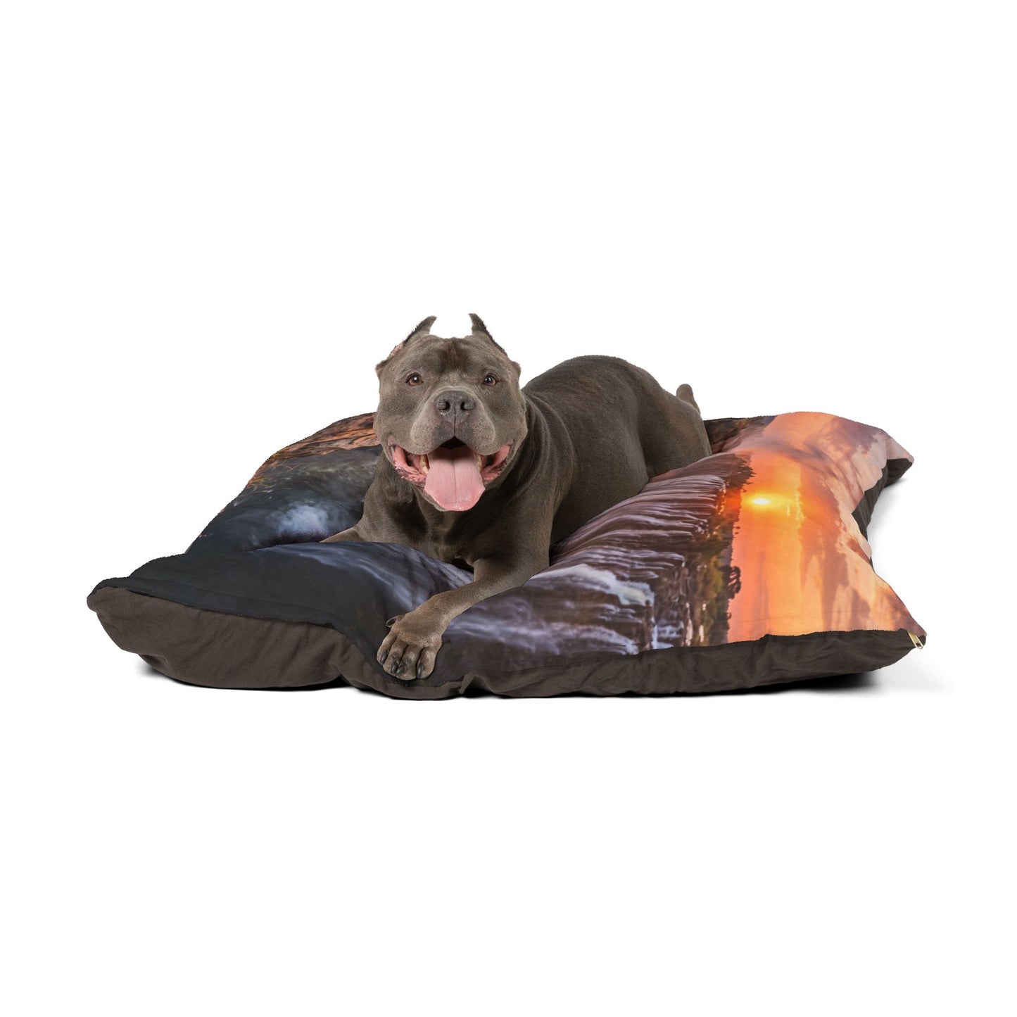 Rhodesian Ridgeback Pet Bed