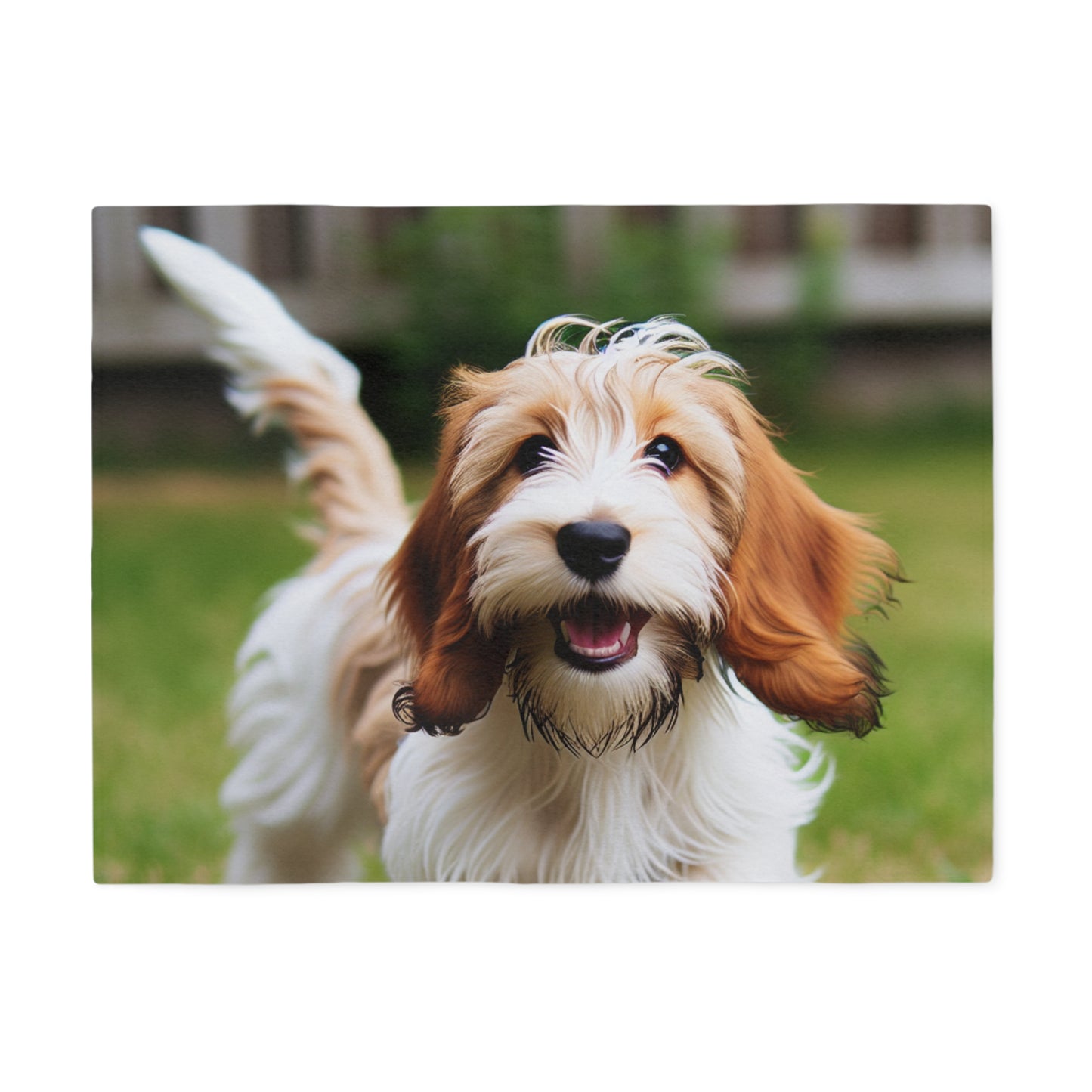 Petit Basset Griffon Vendeen Sweatshirt Blanket