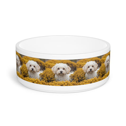 Maltipoo Pet Bowl