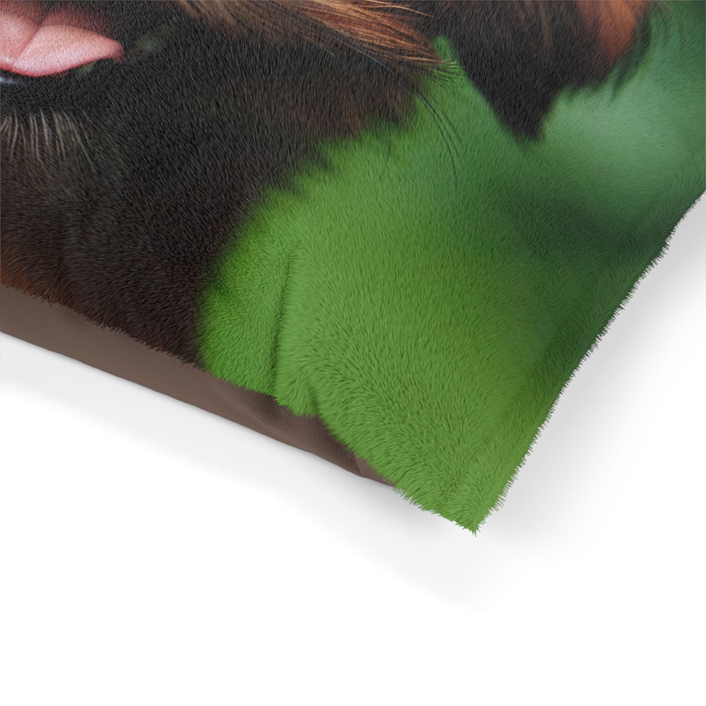 Lit pour animaux de compagnie Griffon de Bruxelles