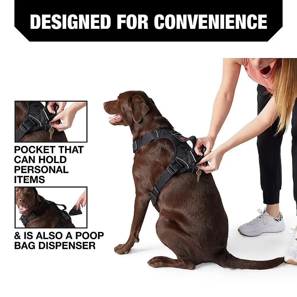 Harnais Kong pour grand chien noir avec distributeur de sacs à déjections et poignée de contrôle