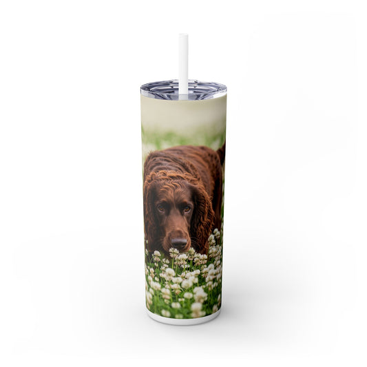 Irish Water Spaniel Tumbler with Straw, 20oz